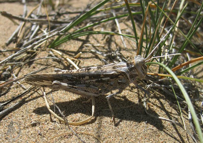 2012.05.20.113.jpg