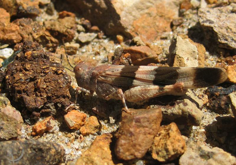 2012.05.20.116.jpg
