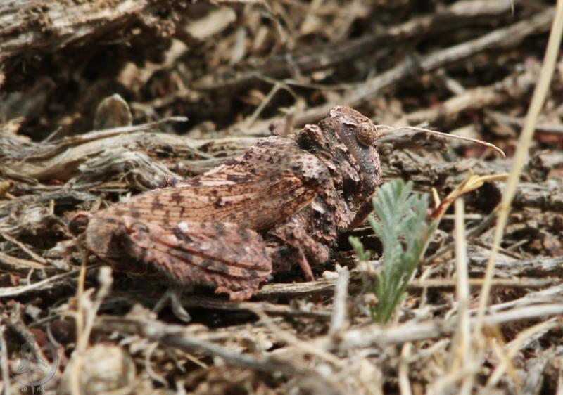 2012.05.20.72.jpg