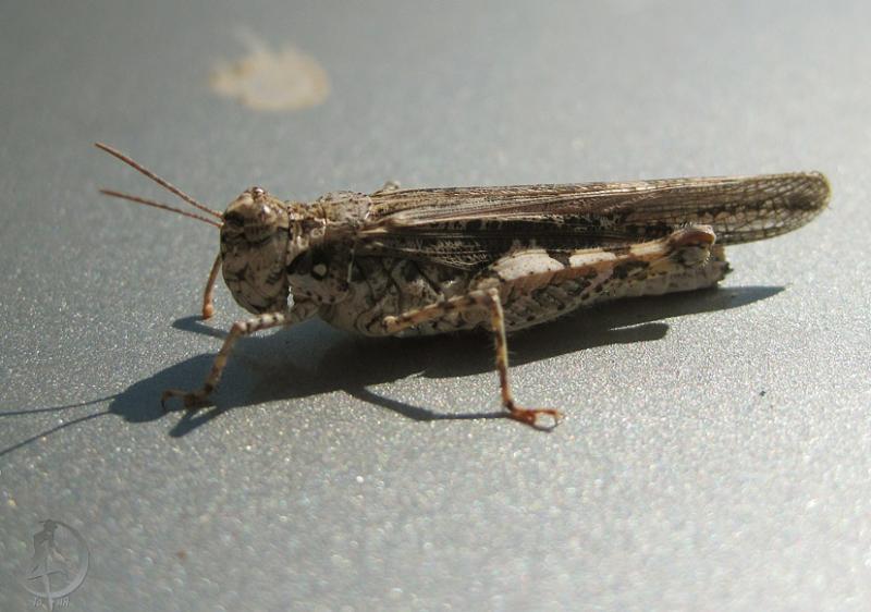2012.05.26.122.jpg