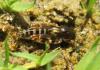 2012.05.26.146_t1.jpg