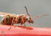 2012.06.13.52_t1.jpg