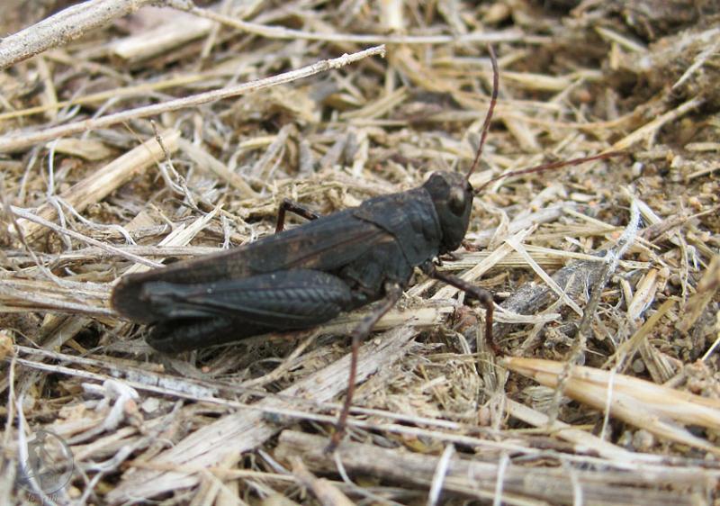 2012.06.16.86.jpg