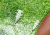 20120501.1_t1.jpg