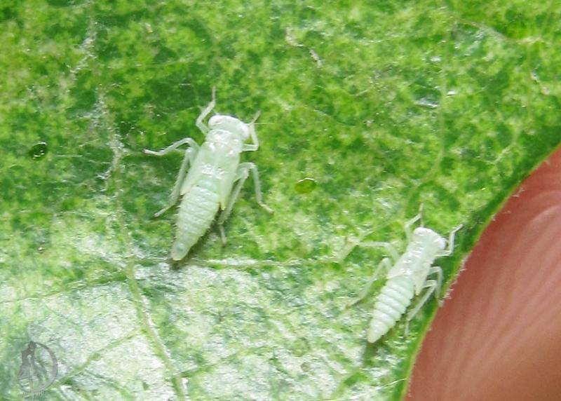 20120501.1.jpg