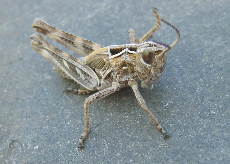 20120505.102.jpg