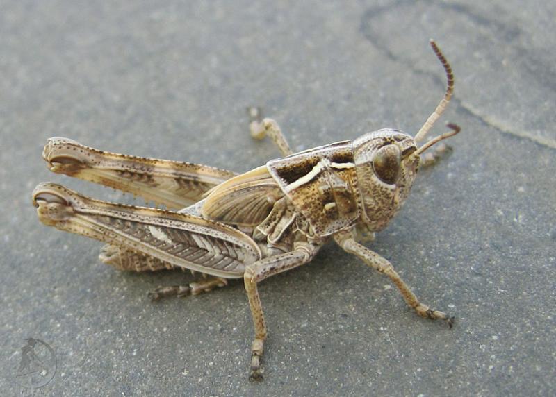20120505.103.jpg