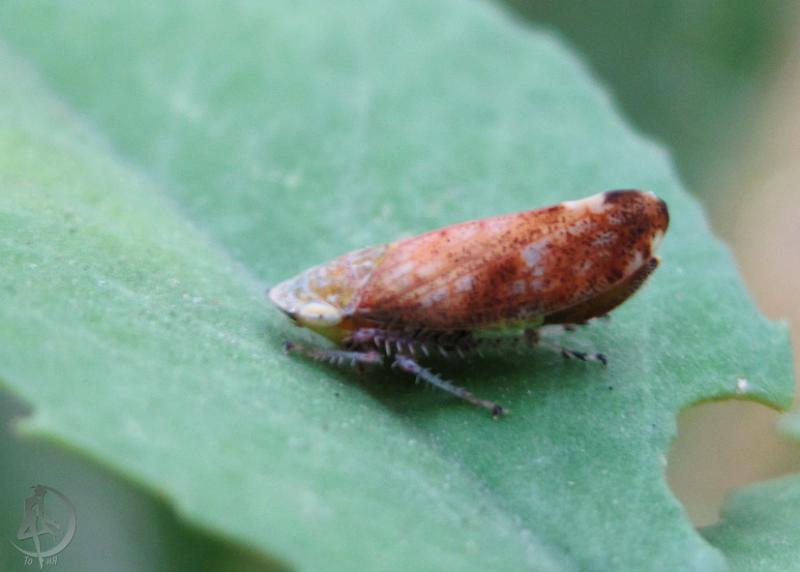 20120623.0.jpg