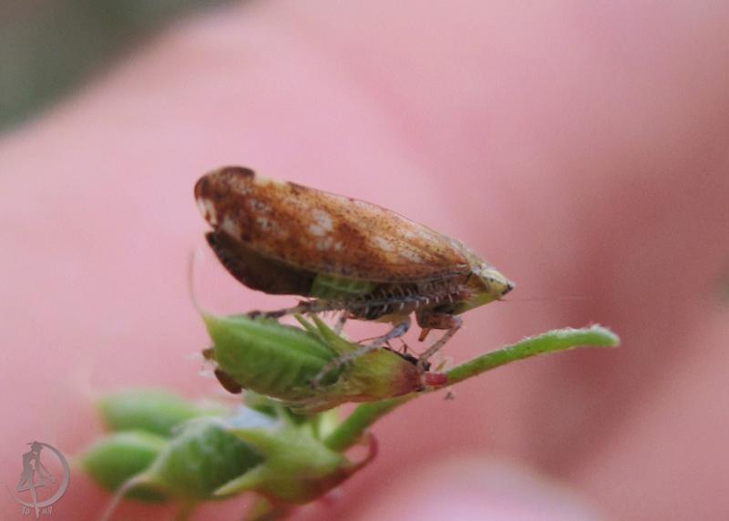 20120623.1.jpg