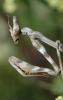 dsc_9377a_t1.jpg