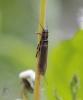 050627_t1.jpg