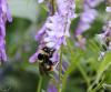 060528_t1.jpg