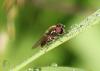 070260_t1.jpg