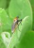 2012.05.13.117_t1.jpg