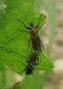 2012.05.13.118_t1.jpg
