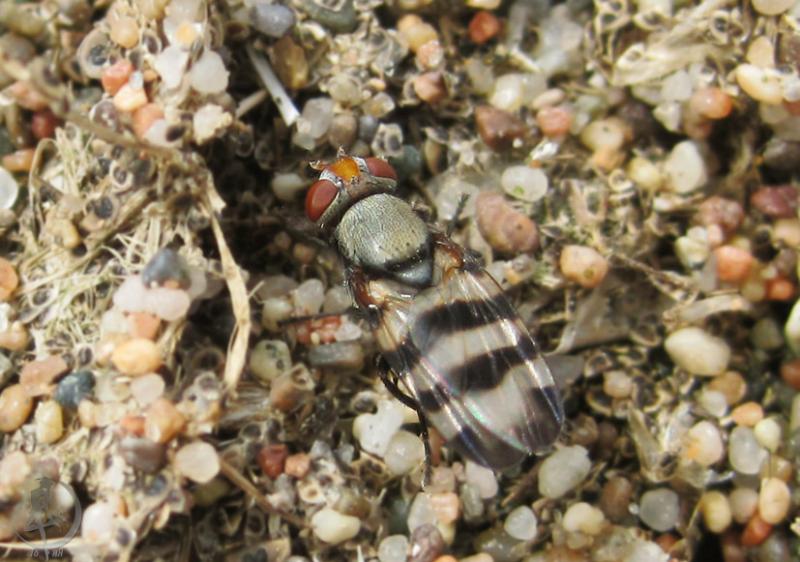 2012.05.13.153.jpg