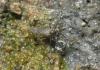 2012.05.26.134_t1.jpg