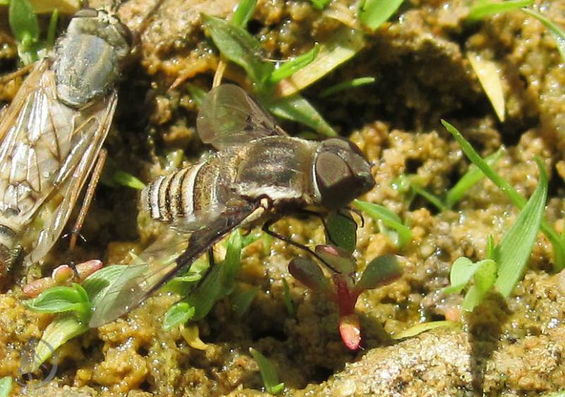 2012.05.26.135.jpg