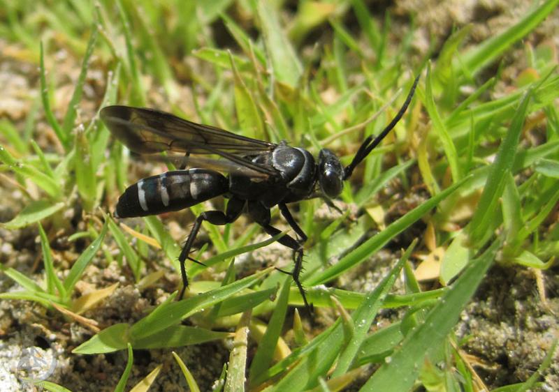 2012.05.26.140.jpg