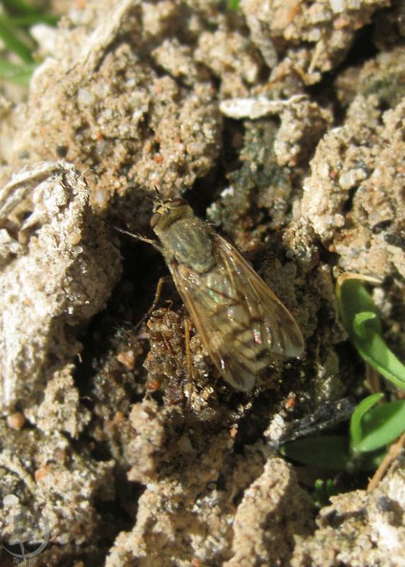 2012.05.26.147.jpg