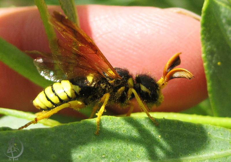 2012.05.26.153.jpg