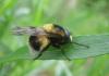 2012.06.02.2_t1.jpg