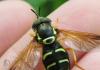 2012.06.09.16_t1.jpg