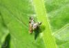 2012.06.09.23_t1.jpg