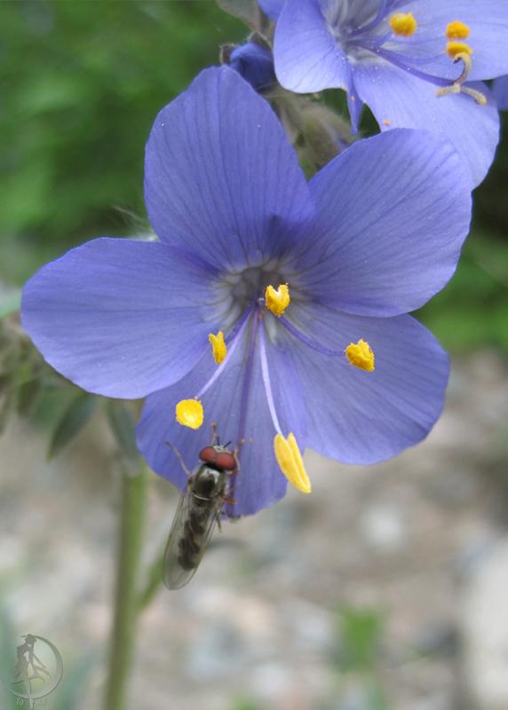 2012.06.09.52.jpg