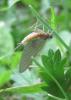 2012.06.09.97_t1.jpg