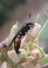 2012.06.16.140_t1.jpg