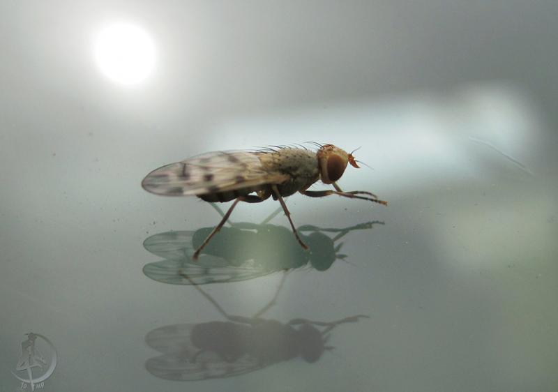 2012.06.16.20.jpg