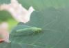 2012.06.16.34_t1.jpg