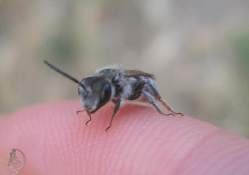 2012.06.16.47.jpg