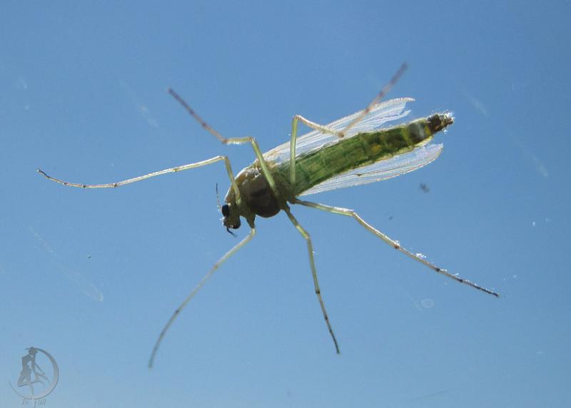 20120430.47.jpg