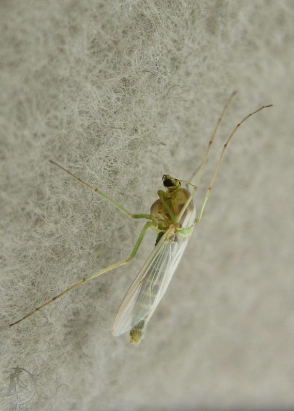 20120430.49.jpg