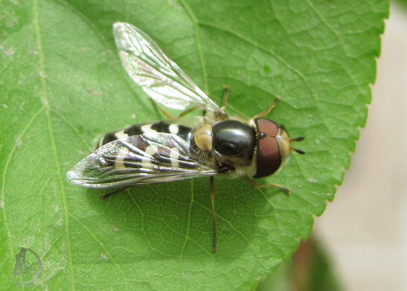 20120501.2.jpg