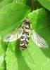 20120501.3_t1.jpg