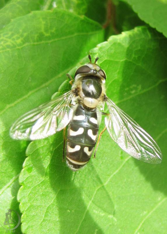 20120501.3.jpg