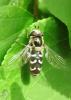 20120501.4_t1.jpg