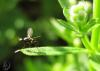 20120505.31_t1.jpg