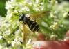 20120505.52_t1.jpg