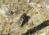 20120505.80_t1.jpg