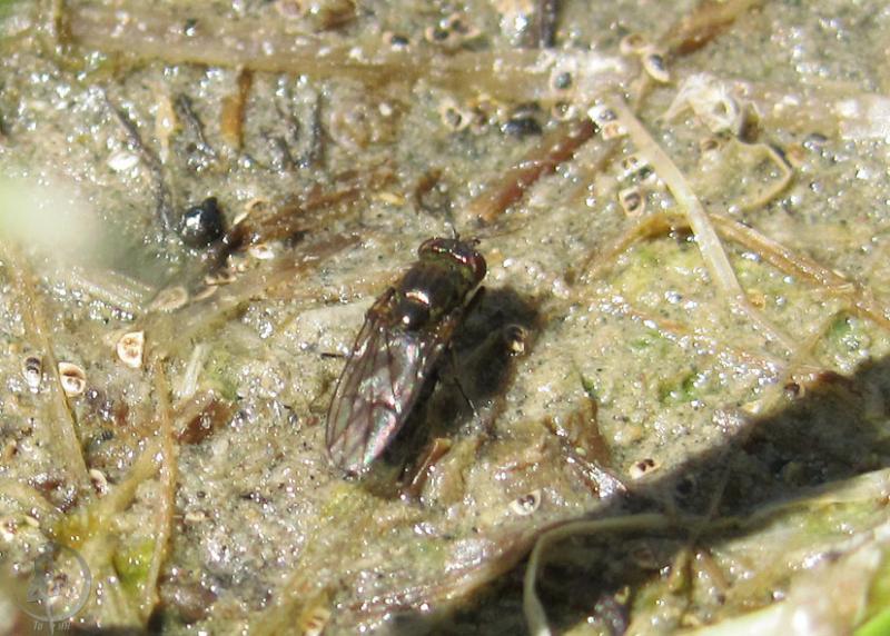 20120505.80.jpg