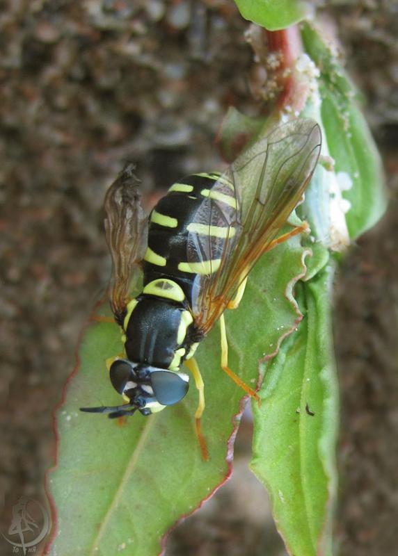 20120505.94.jpg