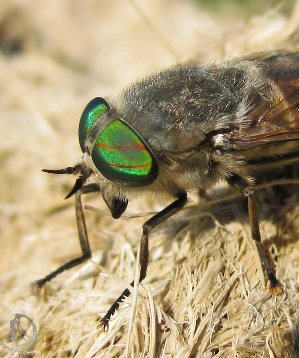 20120623.24.jpg