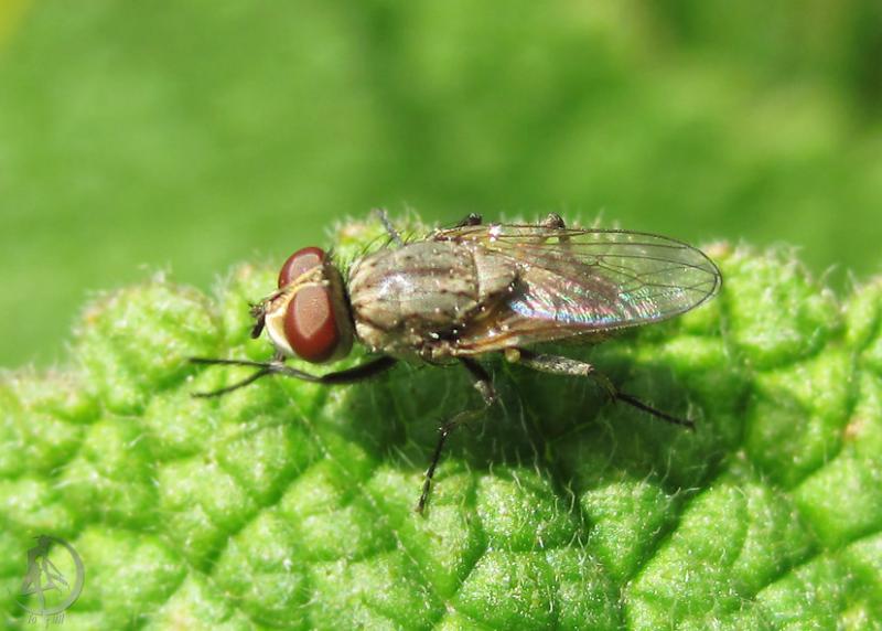 20120623.25.jpg