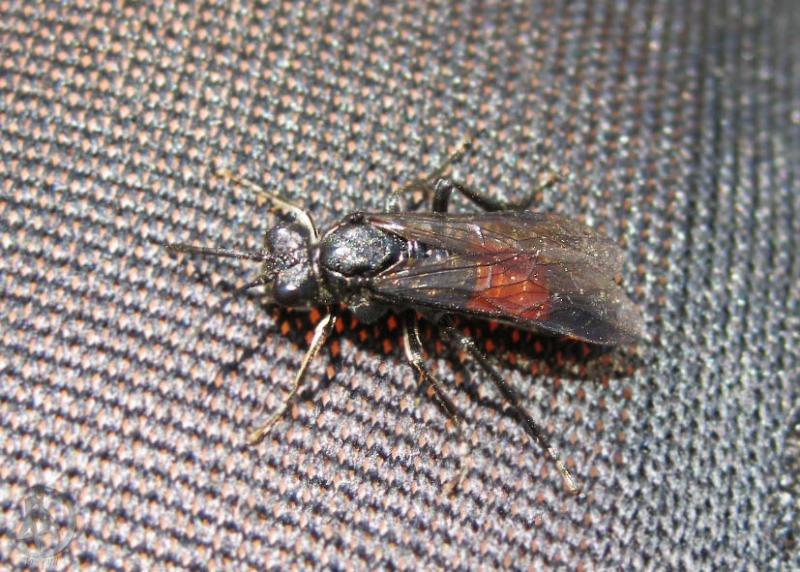 20120623.43.jpg