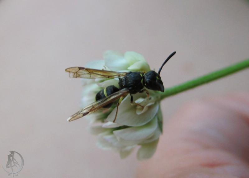 20120623.48.jpg