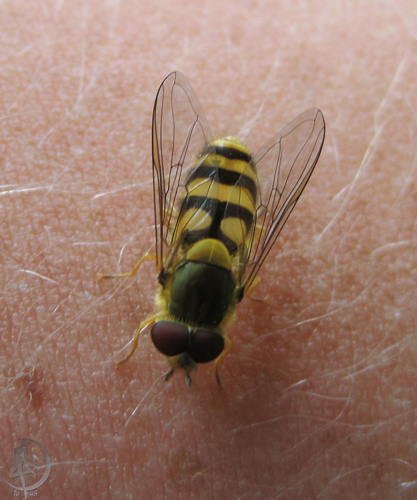 20120623.54.jpg